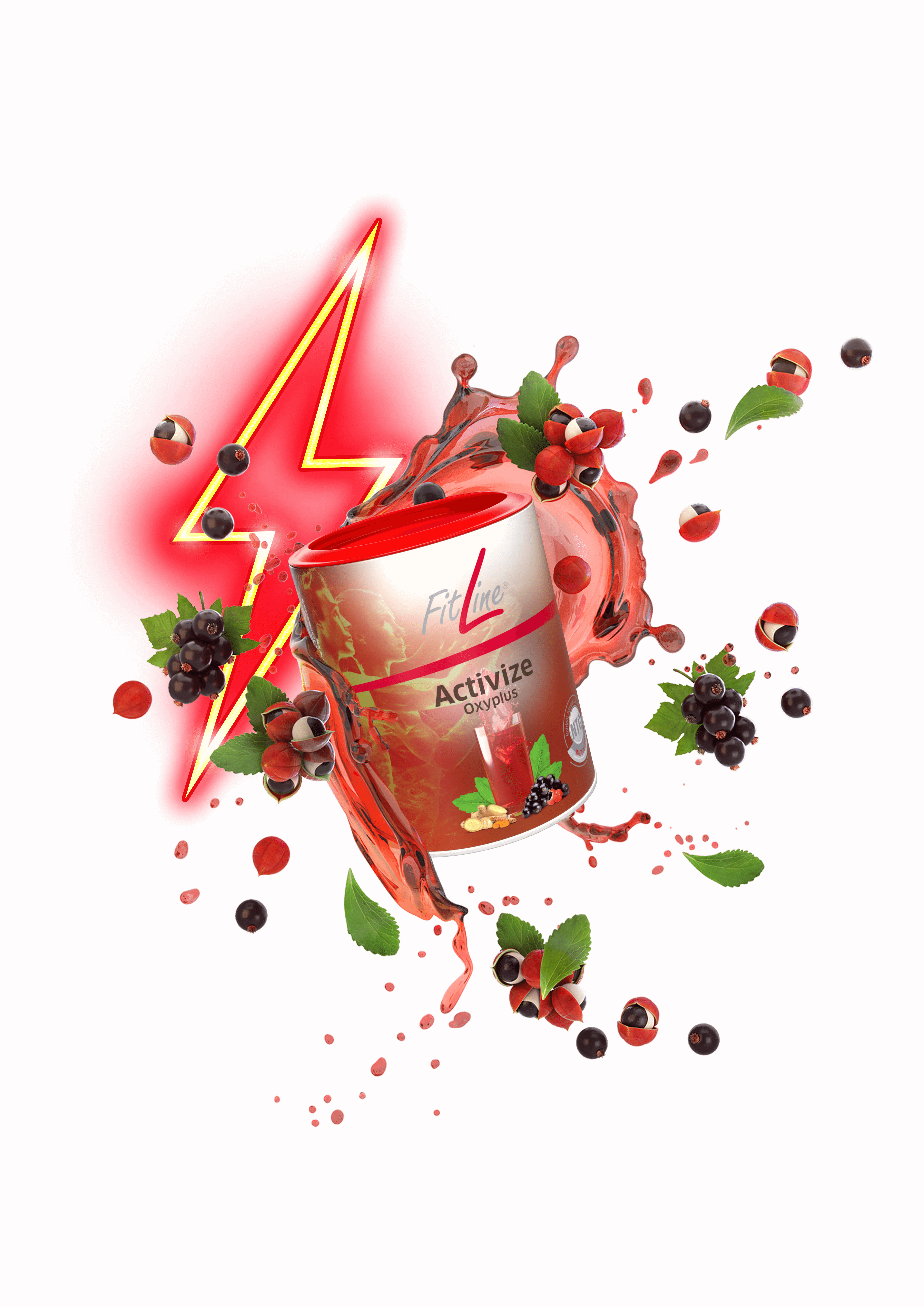 Fitline Activize